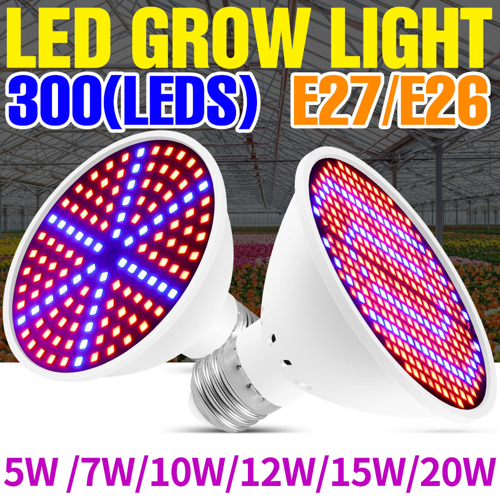 25W E27 LED-kweeklamp met voll - Echeveria Succulent recensie en prijs