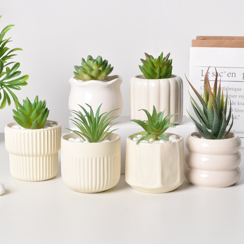 Keramische zelfwatergevende su - Echeveria Succulent recensie en prijs