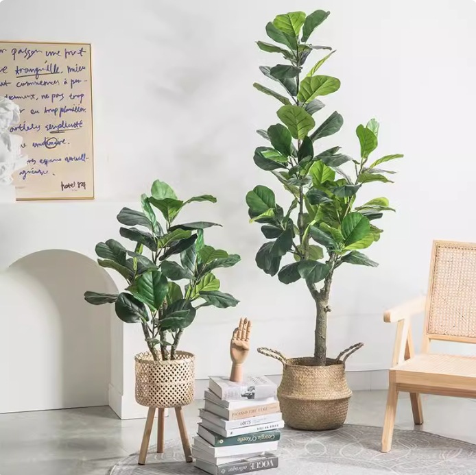 Kunstmatige kunststof plant in - Ficus Lyrata Tree recensie en prijs